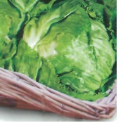 LETTUCE WEBB'S WONDERFUL
